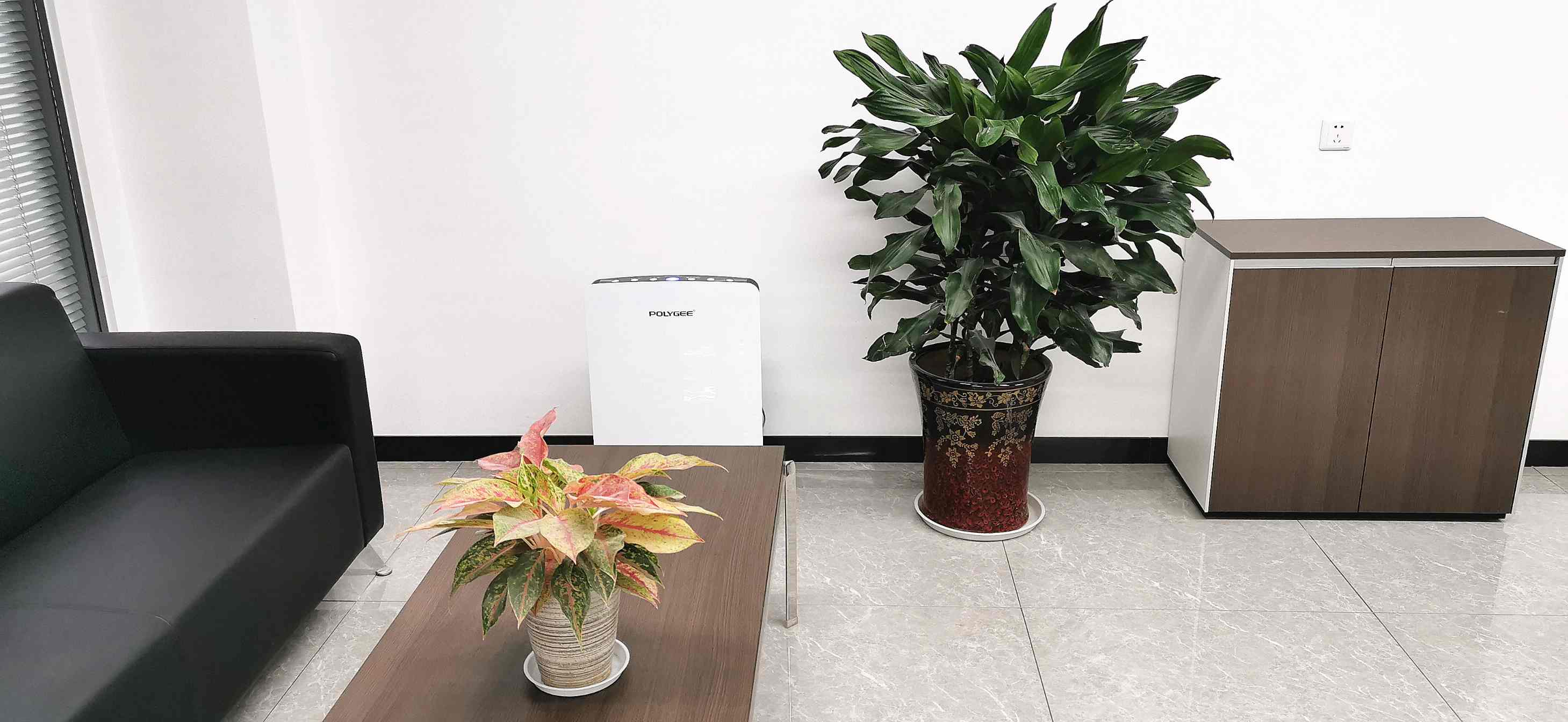 1606805832630568.jpg 1606805832630568.jpg