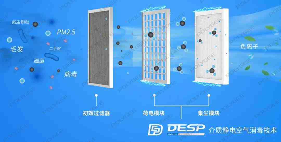 1610445597812084.jpg 1610445597812084.jpg