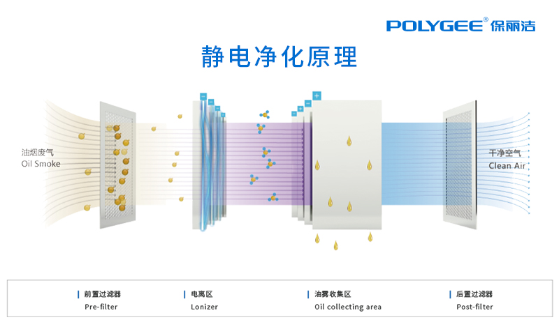 1617326691500157.jpg 1617326691500157.jpg