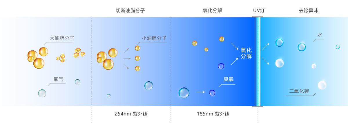 1617326741468559.jpg 1617326741468559.jpg