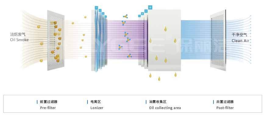 1621489942623915.jpg 9836b136ec1f880114fd2ba06a840aa.jpg