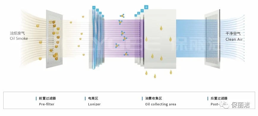 1623036092551818.jpg 640.jpg